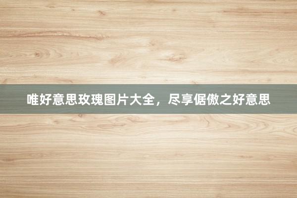 唯好意思玫瑰图片大全，尽享倨傲之好意思
